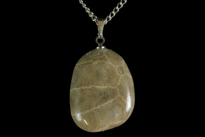 Polished Petoskey Stone (Fossil Coral) Necklace - Michigan #156180